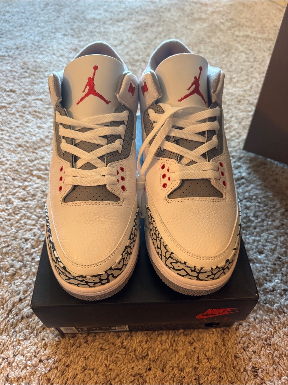 Jordan 3 Retro Fire Reds